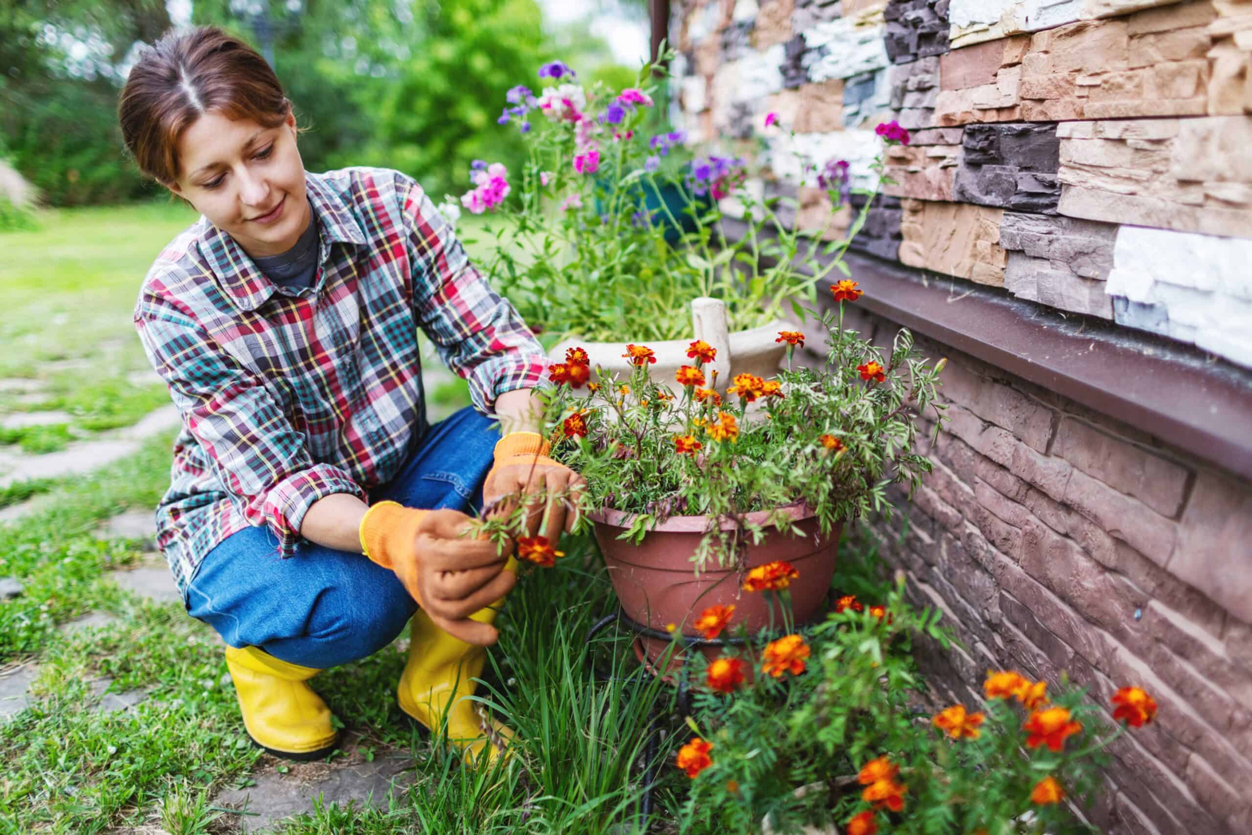 planting flowers outside a home